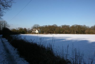 Winter Walk 7th Feb 09 049.JPG