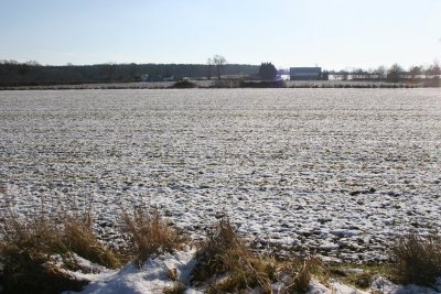 Winter Walk 7th Feb 09 057.JPG