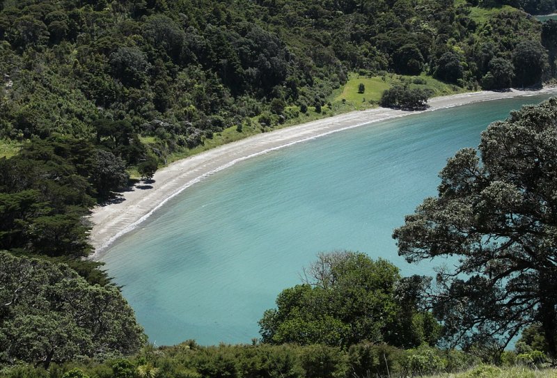 Mahurangi, North Island, New Zealand