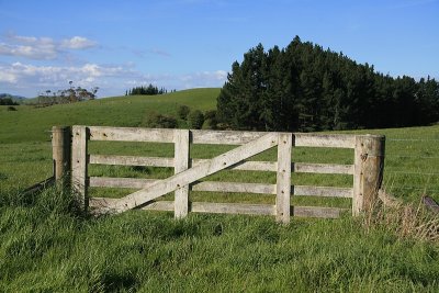 Farm fence.