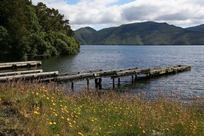 Lake Rotoaira.