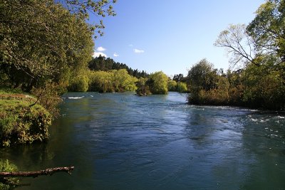 Waikato River, Reids Farm, near Taupo.
