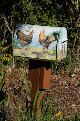 Country mailbox