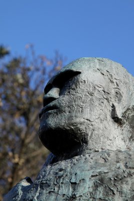 Keeping watch on Auckland