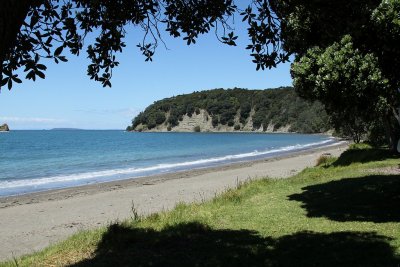 Mahurangi, North Island, New Zealand