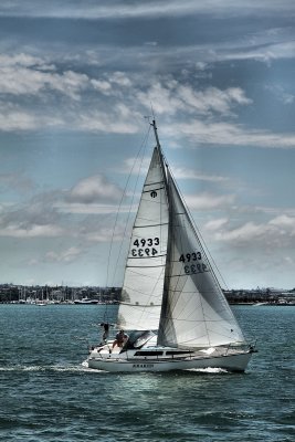 Waitemata Harbour, Auckland.