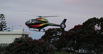 He landed between the trees, and here he is about to take off again.