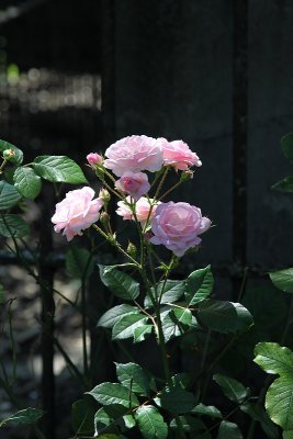 g1/94/755894/3/131567554.RBuIRHSO.jpg