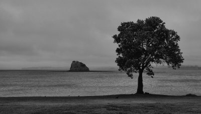 On a grey summers day (B&W conversion)