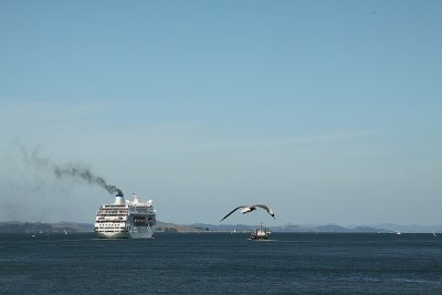 Pacific Pearl, departing Auckland