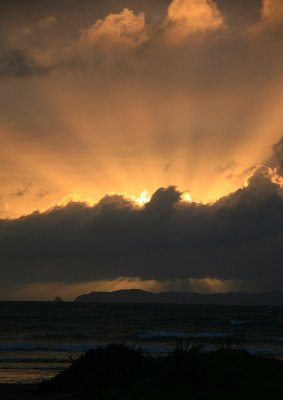 Morning glory, Matauri Bay