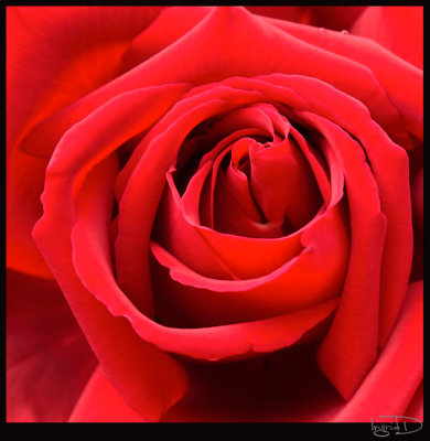 g1/94/782394/3/97869927.UqnNdVSq.jpg