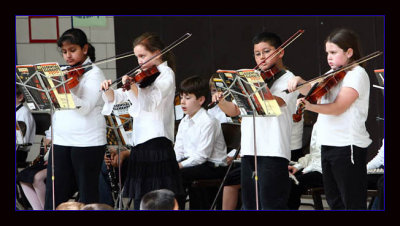 Violin Group