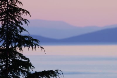 g1/94/810394/3/116467832.3liTJ24q.jpg