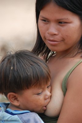 Tambuta Jungle , Peru, 2008