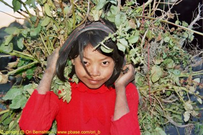 Kagbeny , Jomsom trek , Nepal , 2005