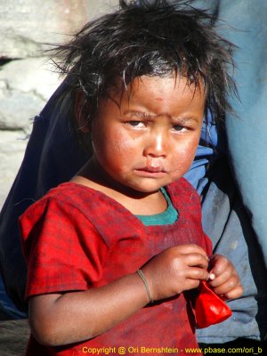 Jomsom trek , Nepal , 2005