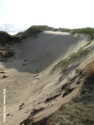 Egmond - duinpan
