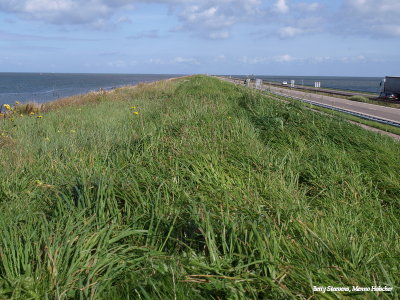 Afsluitdijk