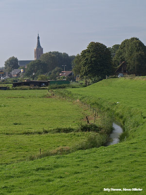 Hasselt - Ruysdael 2008