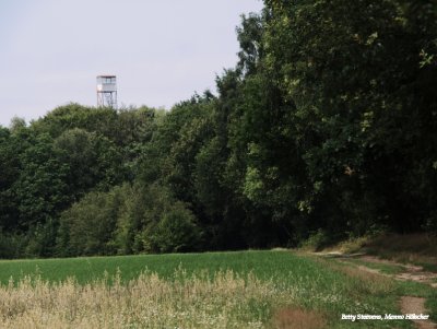 De brandtoren