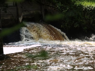 Singraven - watermolen