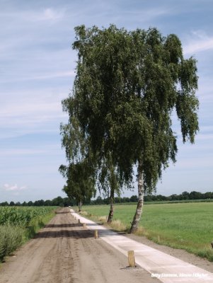 Geesteren - in agrarisch gebied