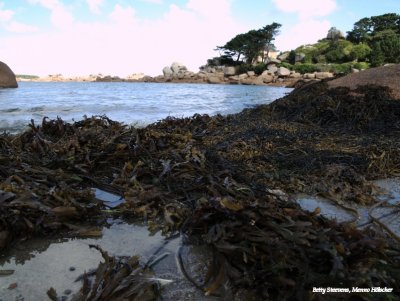 De baai van St Guirec