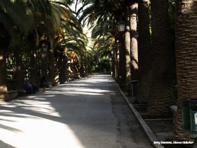 Ragusa - the city park
