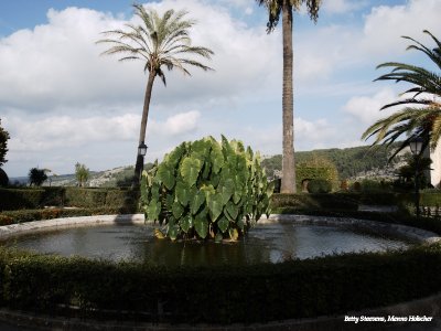 Ragusa - pond in the park