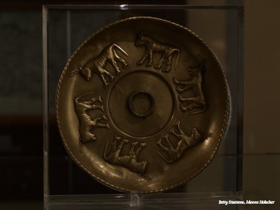 Taurus plate