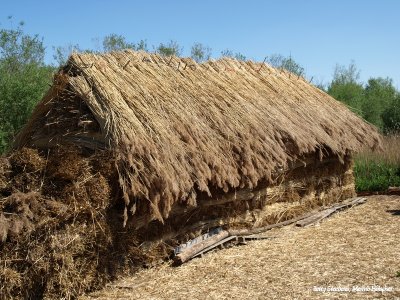 Nederland - foto's van overal