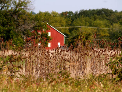 farmhouse