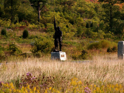 statue in field