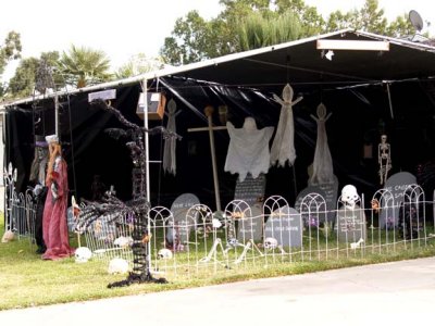 The grave yard