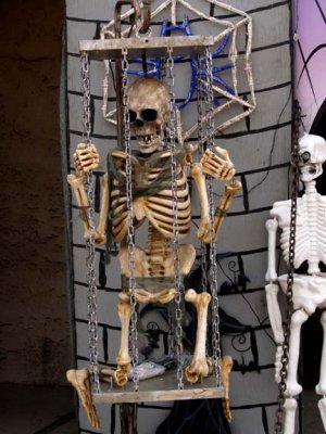 Caged skeleton.  There is a cordless mic so you can make him talk and interact with the kids, fun!  They can't figure it out...