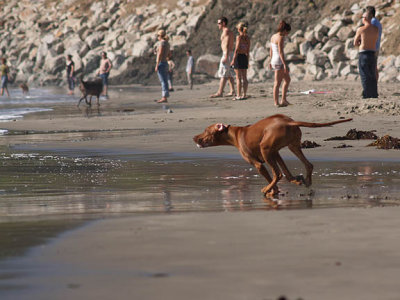 Meile 8 mo. at Avila Beach