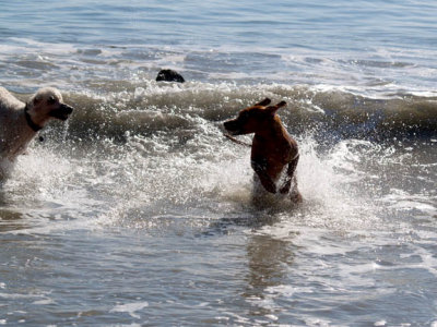 Ah!  Waves!