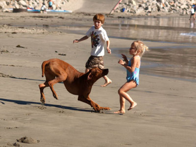 Terrorizing a toddler