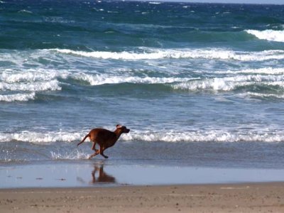 Running in the shallows