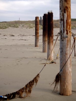 Once upon a time, there was a pier...