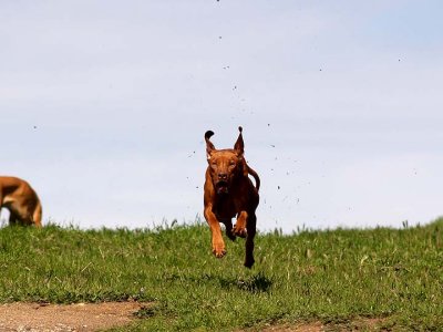 Incoming!