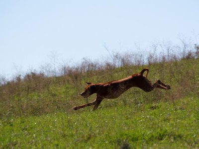 Down hill flying!
