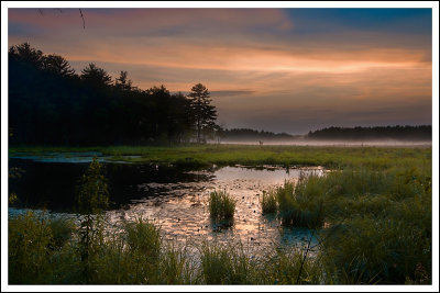 Lowell Dracut MA wetlands .jpg