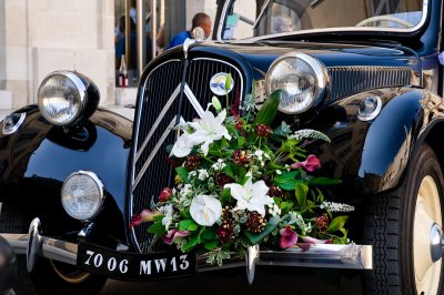 Wedding, Arles, Camargue, Provence, France