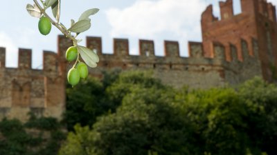 Castello di Soave, Veneto, Italy
