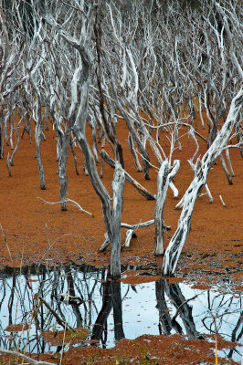 Kai Iwi Lakes, Northland, New Zealand