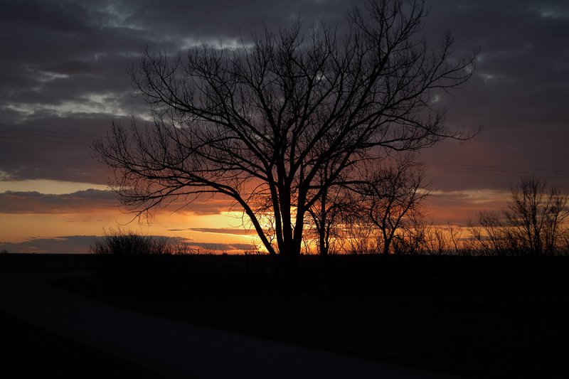 Alberta Sunset