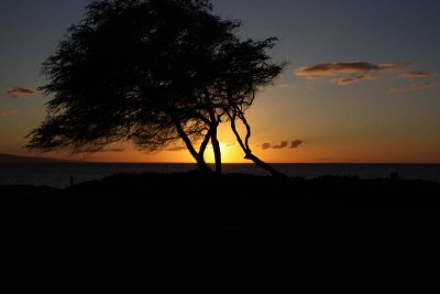 Dale Seidlitz - Maui Sunset