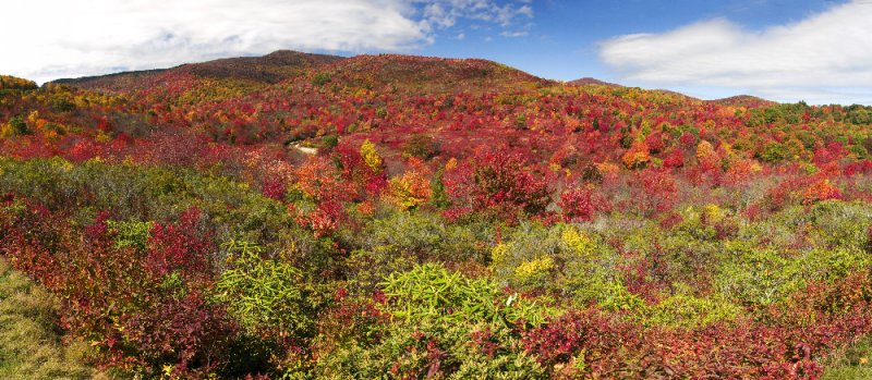 Graveyard Fields at peak color! -- panorama